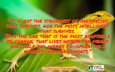Are you waiting for things to return to normal?