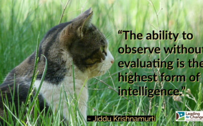 Don’t be disruptive when you’re the new person