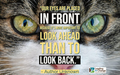 Which way are you looking?