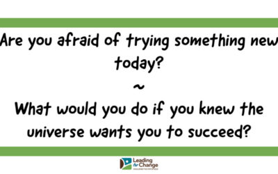 Are you afraid of trying something new today?