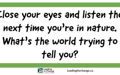 Listen to what the world is trying to tell you