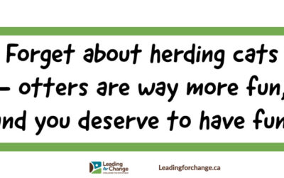 When you feel like you’re herding cats