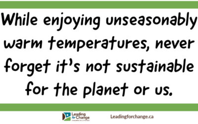 When the weather is unseasonably warm